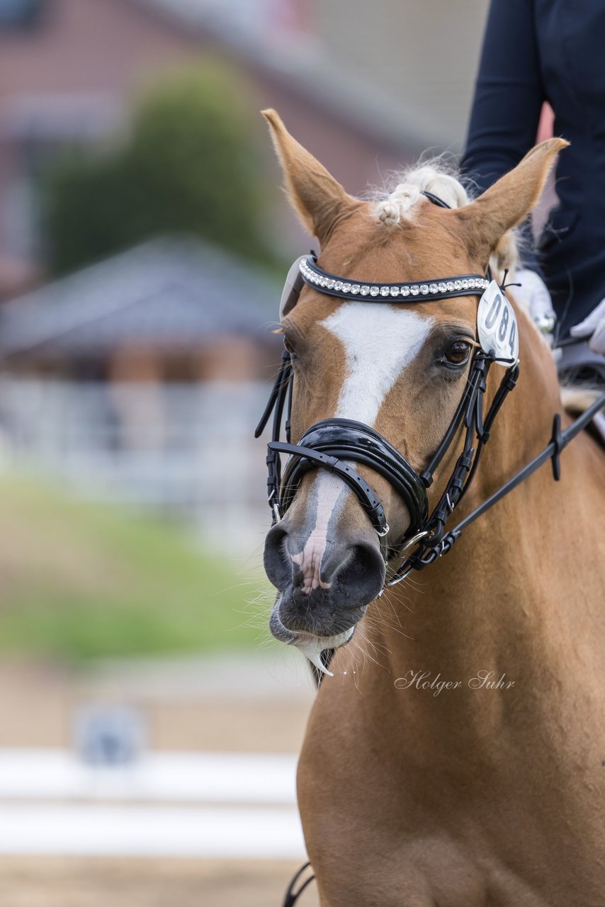 Bild 242 - Pony Akademie Turnier